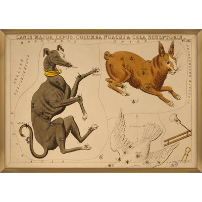 Canis Major Print by Grand Archives