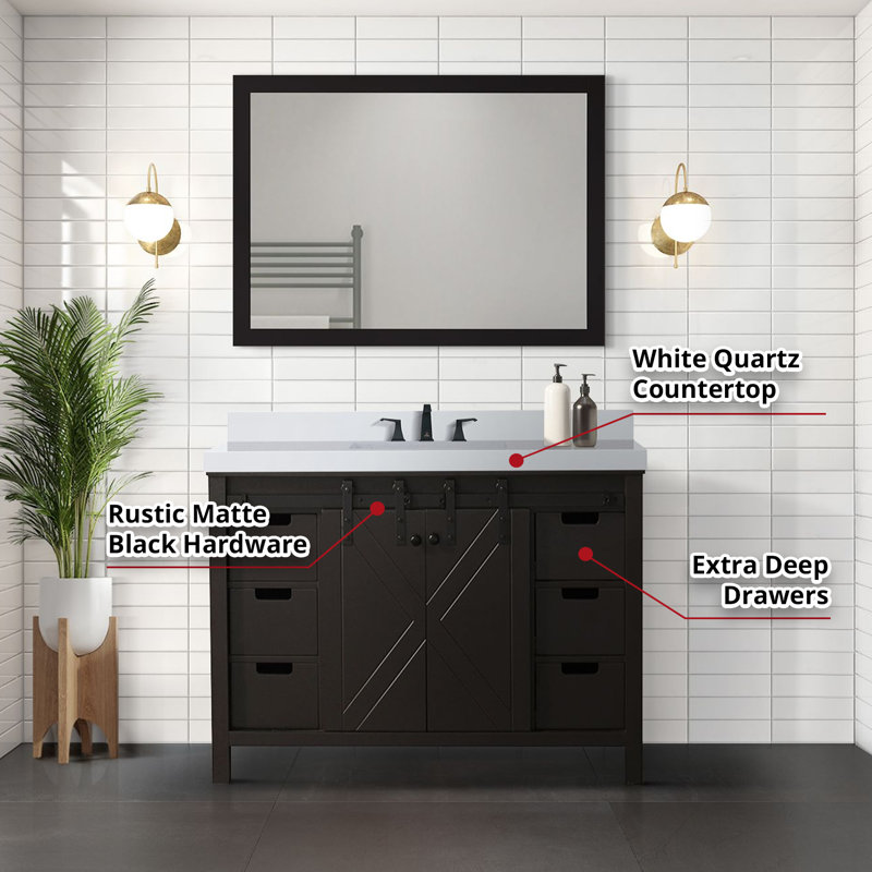 Marsyas 48" Brown Freestanding Vanity Cabinet with Barn Doors