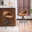 Swivel Bar Stool