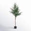 Faux Olive Tree Tree in Pot-72066409