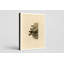 Republican or Cliff Swallow, Plate 68 - Portrait, art mural sur toile-129980616