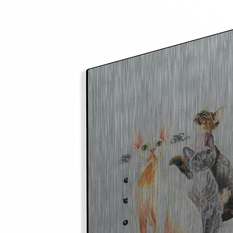 "Devon Rex" par Barbara Keith, H 24 po x l 16 po