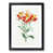 Black Framed selected