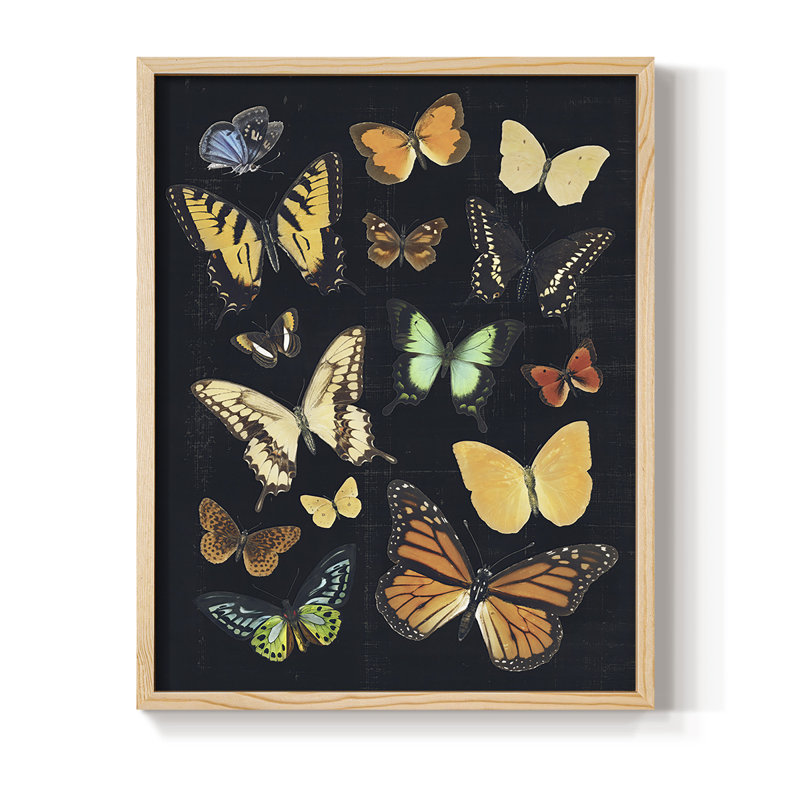 Collection encadrée Coll flotté III - bois massif