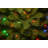Dunhill Fir Fir Tree-2032998416