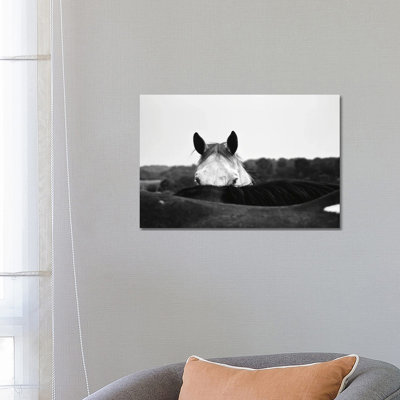 Flirt by Aledanda - Wrapped Canvas Print