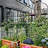 Breyon 87" H x 39.8" W Iron Arched Trellis