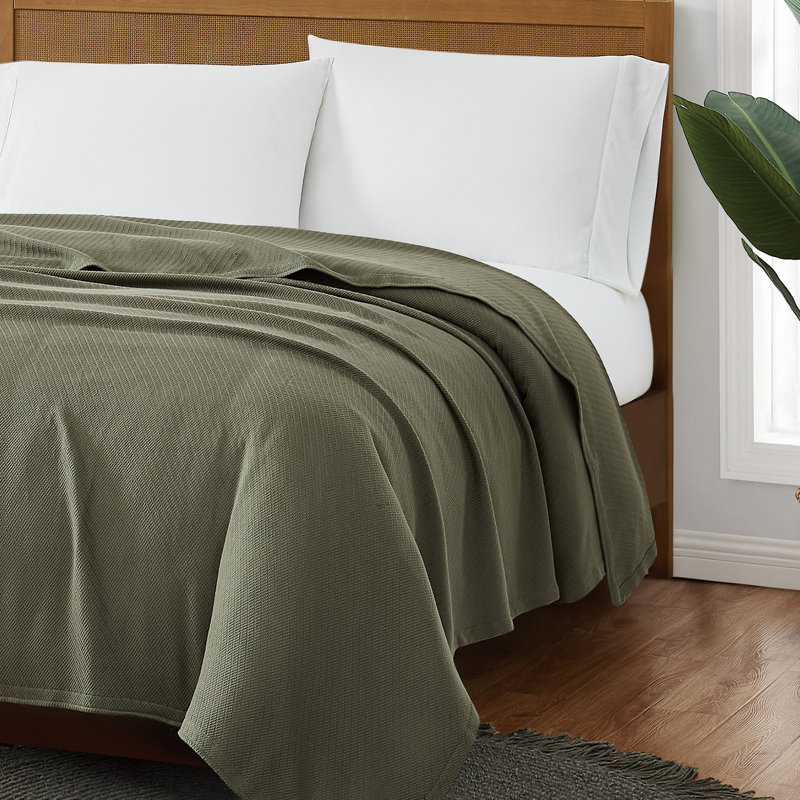 Couverture en coton FRYE, Simple TG, Vert olive