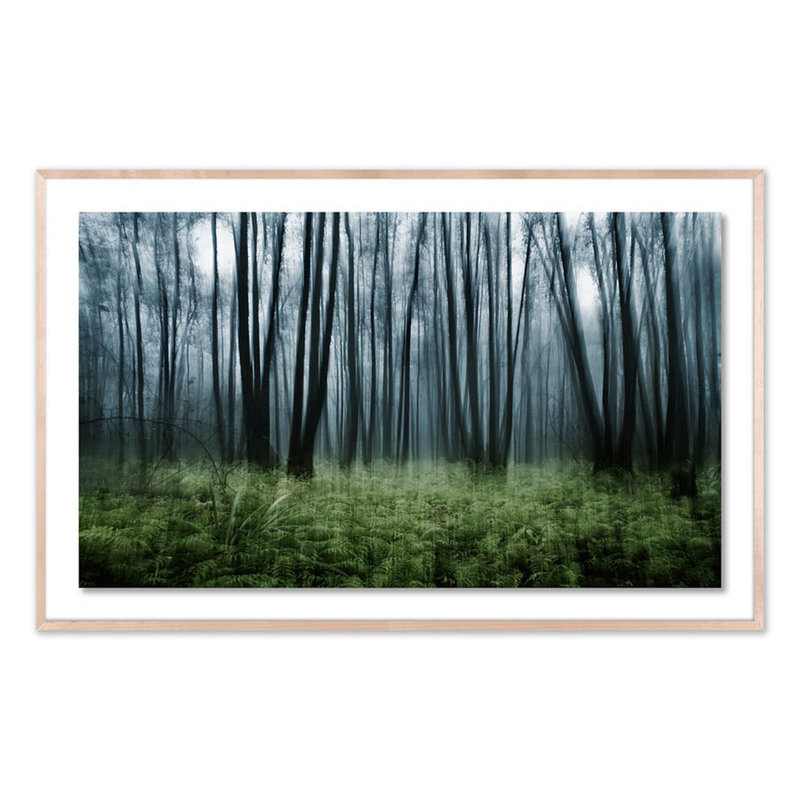 Eerie Trees IV Print by Jakob Wagner, Natural, 38" H x 60" W x 2.5" D
