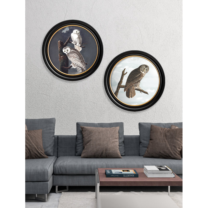 Snowy Owls In Round Frame by Audubon - Single Picture Frame Print on Archival Matt 230gsm Paper