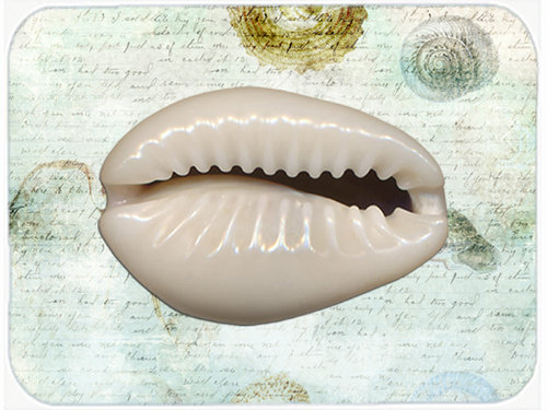 Caroline's Treasures Shells Glass Cutting Board