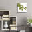 " Pilea " by Trish Sierer-527079454
