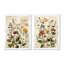 Art mural sur toile 2 fleurs rétro-1076230899-1337294301