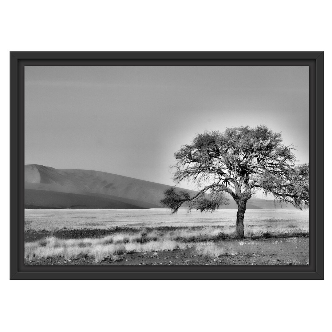 Gerahmtes Wandbild einzelner Baum in Wüste