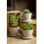 Ensemble de 3 pots de fleurs en ciment Abordale