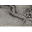 Senna Abstract Area Rug-40192762