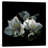 Modern & Contemporary-18515804-74417155-74417156