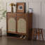 Armoire de rangement simple à chaussures en rotin-179638340-177276150