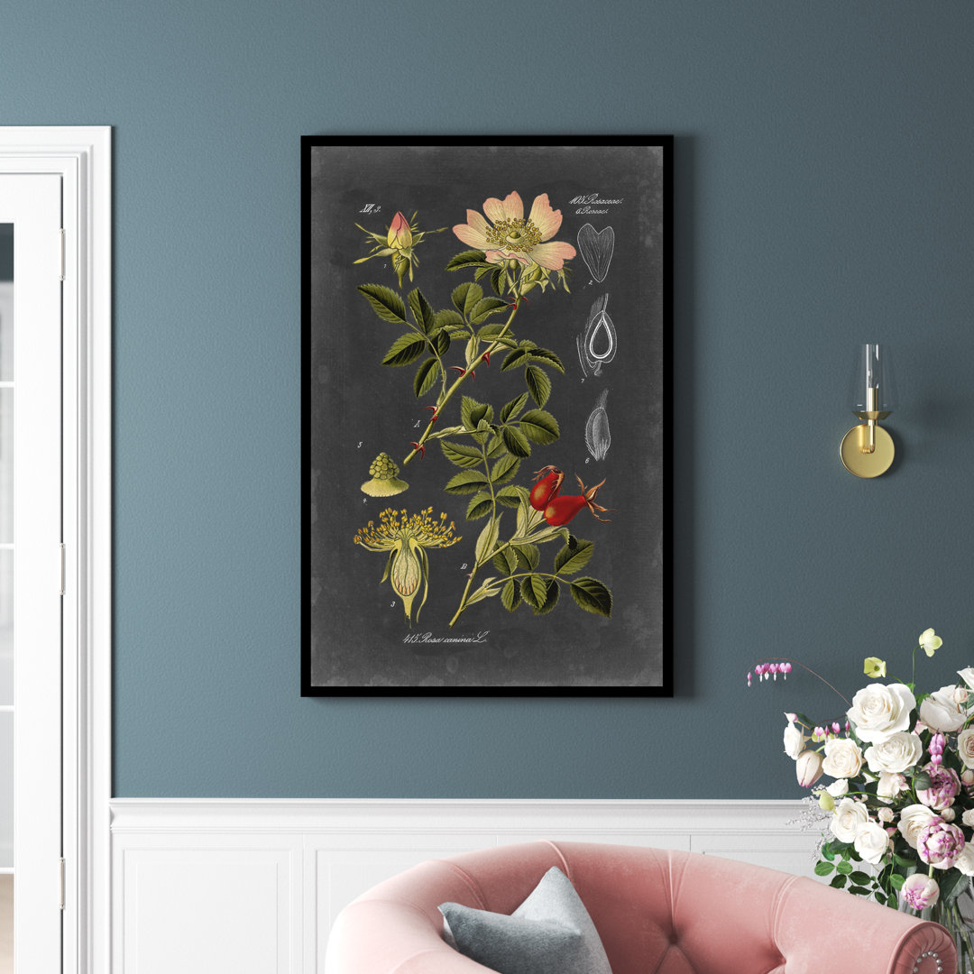 Leinwandbild Midnight Botanical I von Vision Studio