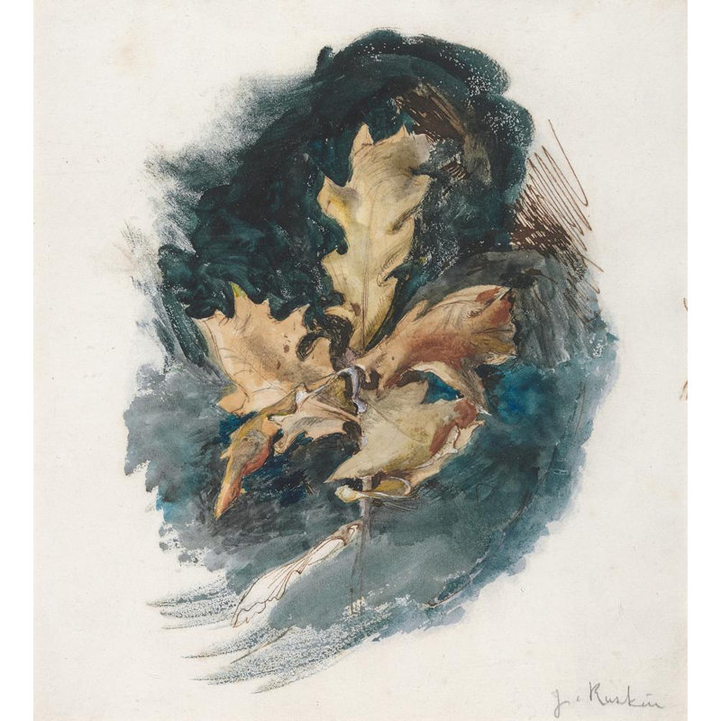 «Study of an Oak Leaf» par John Ruskin - Art mural sur toile tendue avec châssis, H 24 po x l 17 po