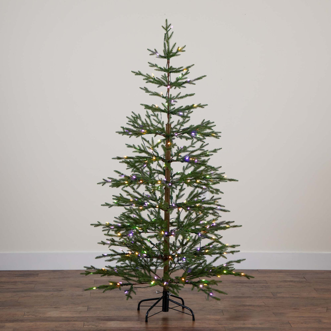 6ft. Pre-Lit Artificial Natural Fresh Cut Fir Christmas Tree with Instant Connect Technology The Holiday Aisle®