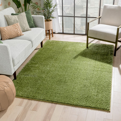 Rainbow Well Sheepskin Shag Green Rug