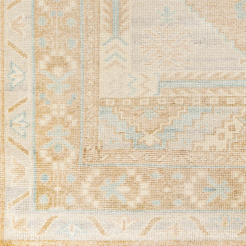 Yanna Oriental Indoor Rug, Rectangle 9' x 12'