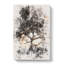 Leopard Siesta - Wrapped Canvas-56640248
