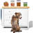 2.6 Lb. Plastic Food Storage Container