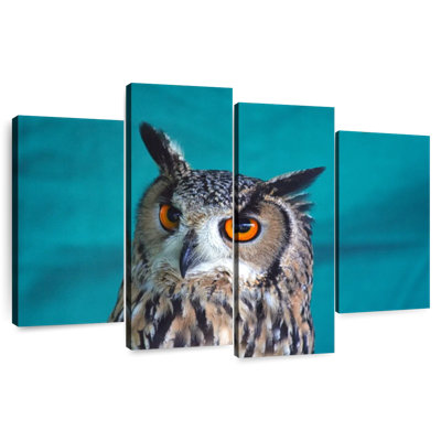 Hibou charmant de Brampt