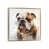 Champagne Floater Framed Canvas is unavailable