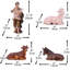 Christmas Nativity Set