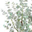 Eucalyptus artificiel Adcock en pot, plante artificielle, faux arbre pour la décoration intérieure-809388535-809450247