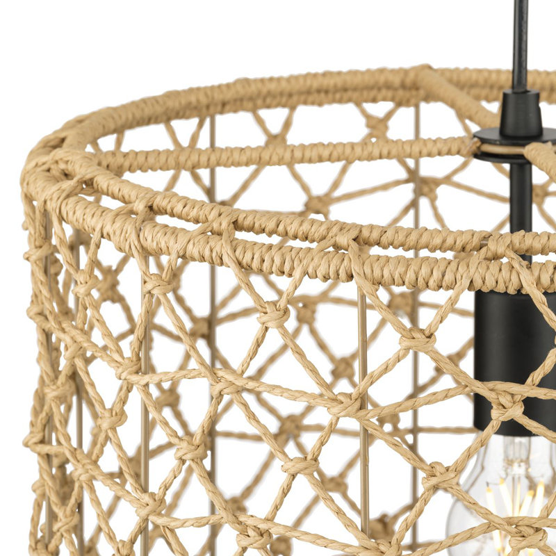 Asis 1 - Light Caged Pendant