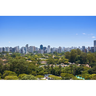 Finbarr " Ibirapuera Park, Sao Paulo " by Cifotart