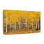 Colorado Aspen Forest, reproduction sur toile-1329935223
