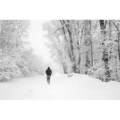 Winter Wonder Land - Wrapped Canvas Print