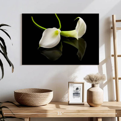 Harnek Calla Lily Flower