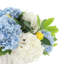 Hydrangea and Lemon Arrangement in Decorative Vase