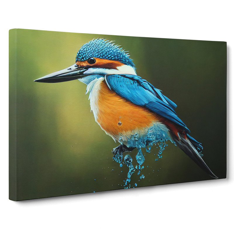 Edgy Kingfisher Bird - Wrapped Canvas, 35cm H x 50cm W x 3cm D