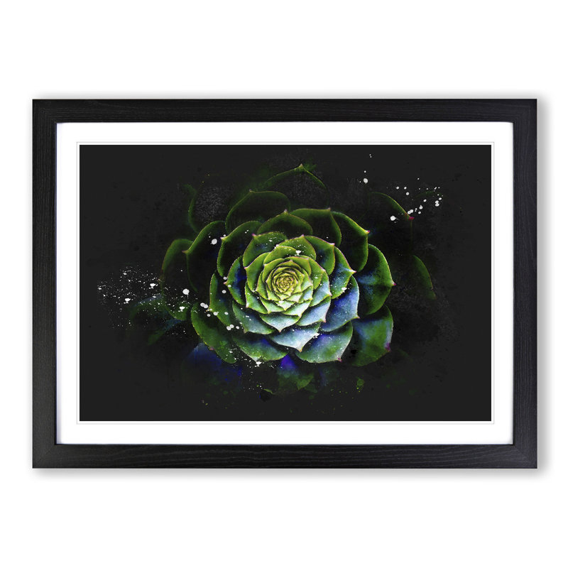 Dark Green Succulent Plant Paint Splash - Picture Frame Graphic Art, Black Framed, 24cm H x 33cm W x 2cm D