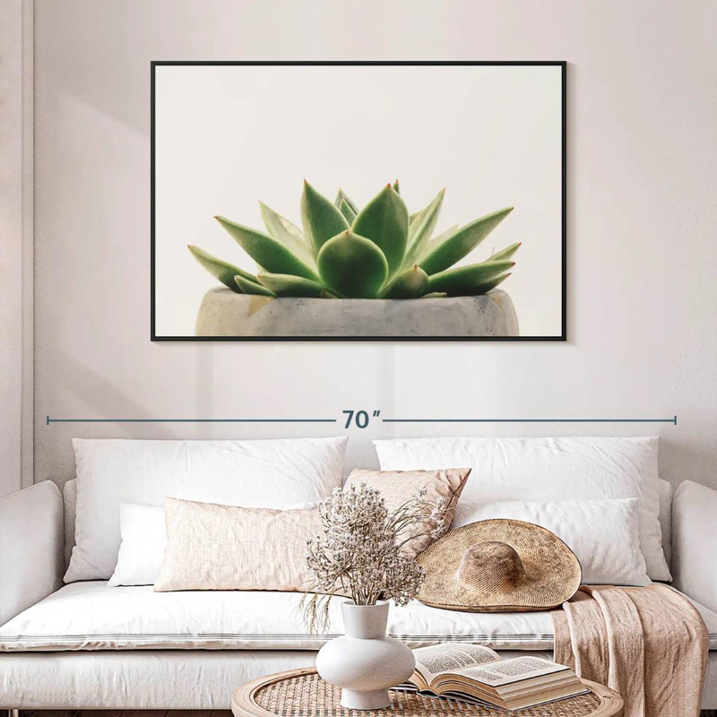 Plante grasse en pierre, 46 po x 31 po, Cadre flottant noir