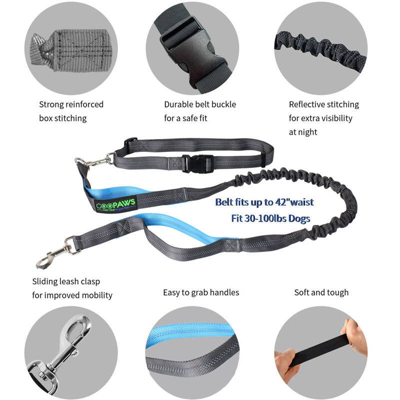 Laisse en bungee mains libres, Bleu