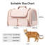Pet Carrier-380750695