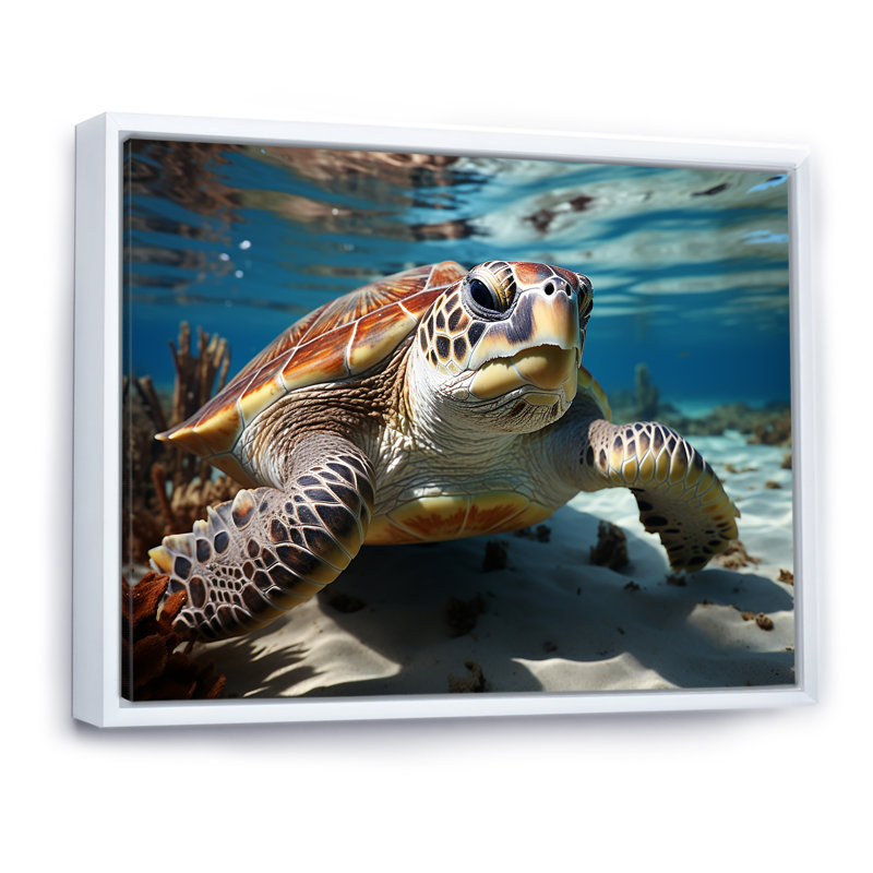Minimalist Lagoon Turtle sur toile, Cadre flottant blanc, H 24 po x l 32 po x P 1 po