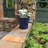 Pansy Ceramic Pot Planter-88134232