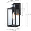 Schlesinger Matte Black 32.13cm H Outdoor Wall Lantern