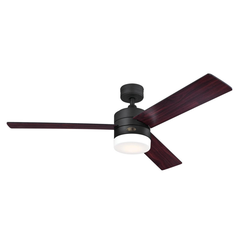Ventilateur de plafond intelligent Wi-Fi Alexa, lumière DEL, télécommande 52 pouces, verre givré opale, Noir mat