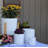Dotted Cylinder Planter with Attached Saucer Medium Glazed Ceramic Pot (Case of 8) - Indoor Outdoor-1446474638