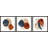 Sapphires and Rubies Triptych by Marmont Hill - 3 Piece Picture Frame Painting Set-918093169